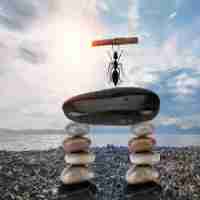 react-rnd 拉​伸﻿图​片‍